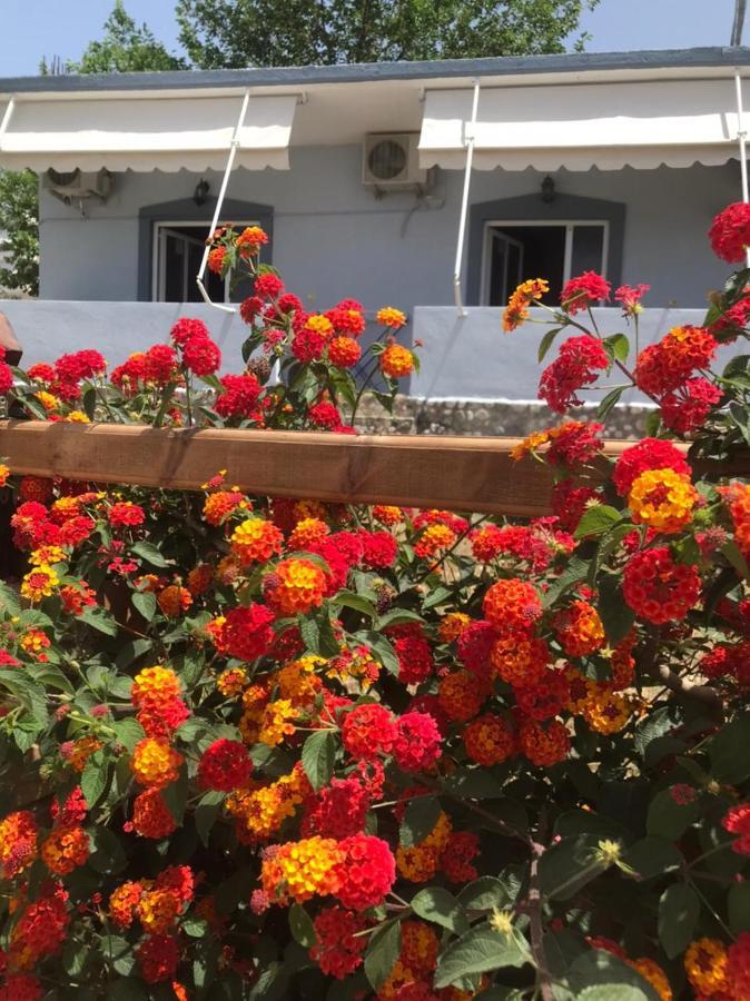 Villa Praljan بورش المظهر الخارجي الصورة